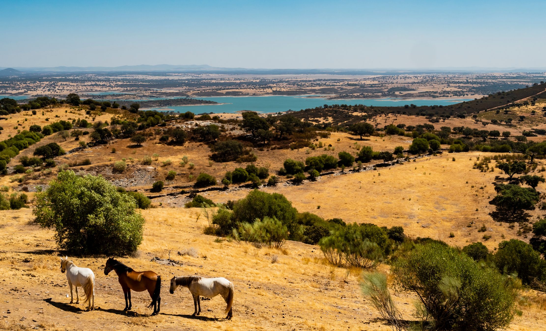 Portugal's Coastal Secret: The Fisherman's Trail Offers Solitude and Sea