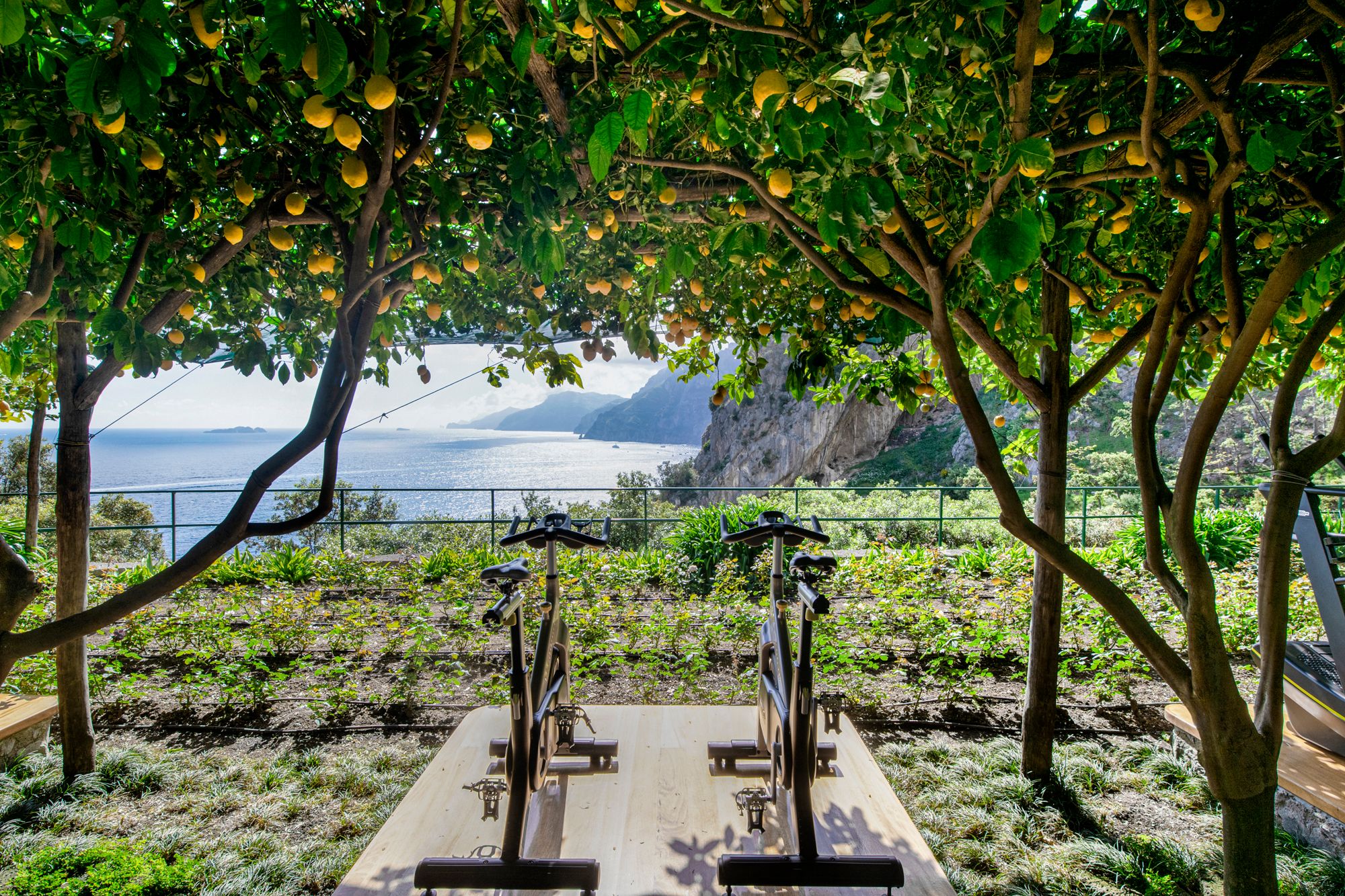 Hotels Where the Court is Part of the Resort