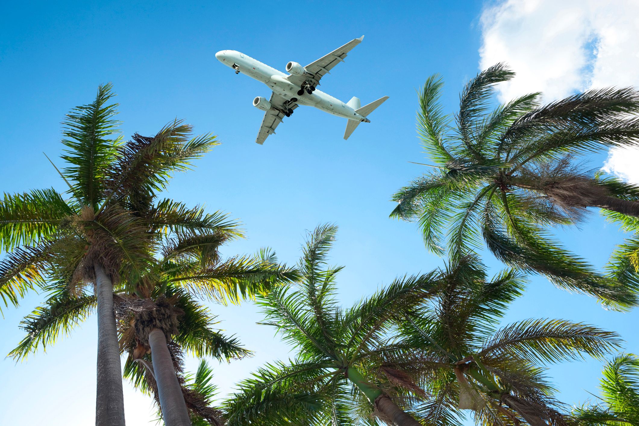 Caribbean Travel Snarl: Venezuela Airspace Closure Forces Airlines to Scramble