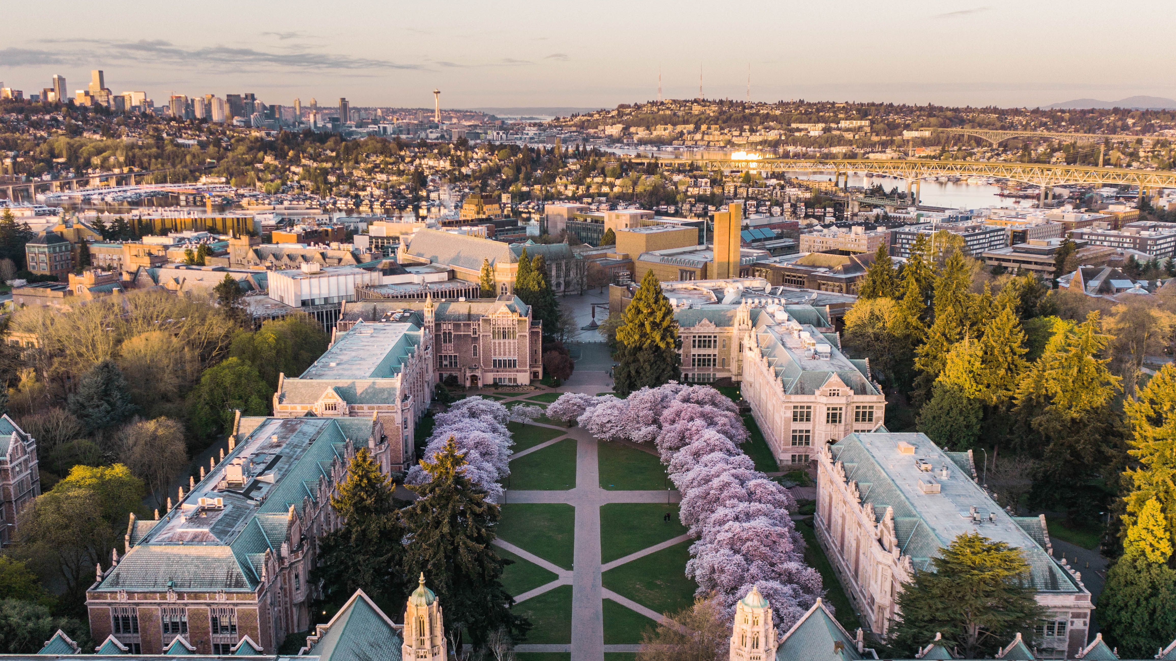 A Nation in Bloom: Where to Find Spring's Pink Canopy Across America