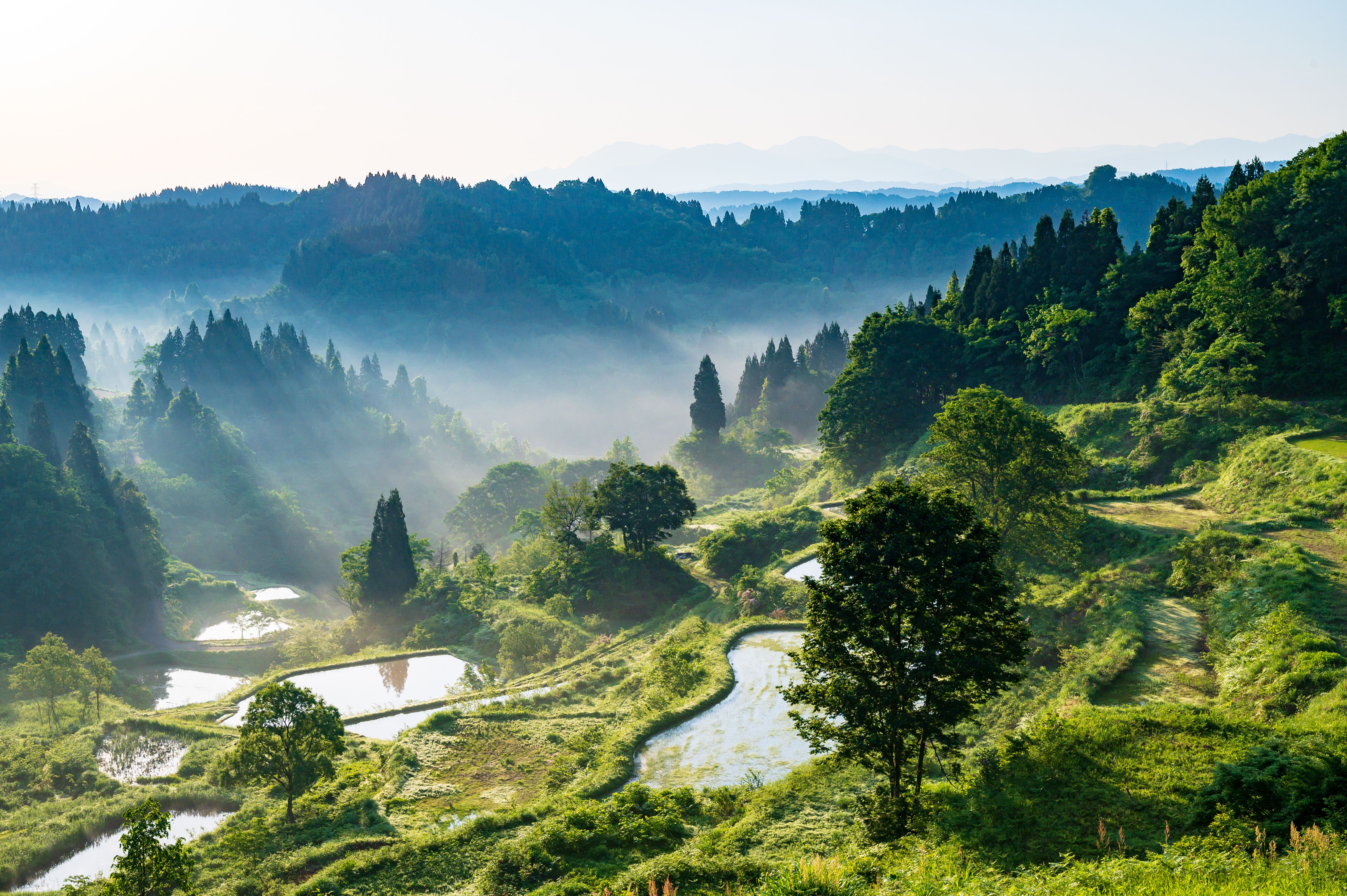 Beyond the Slopes: Niigata's Quiet Allure