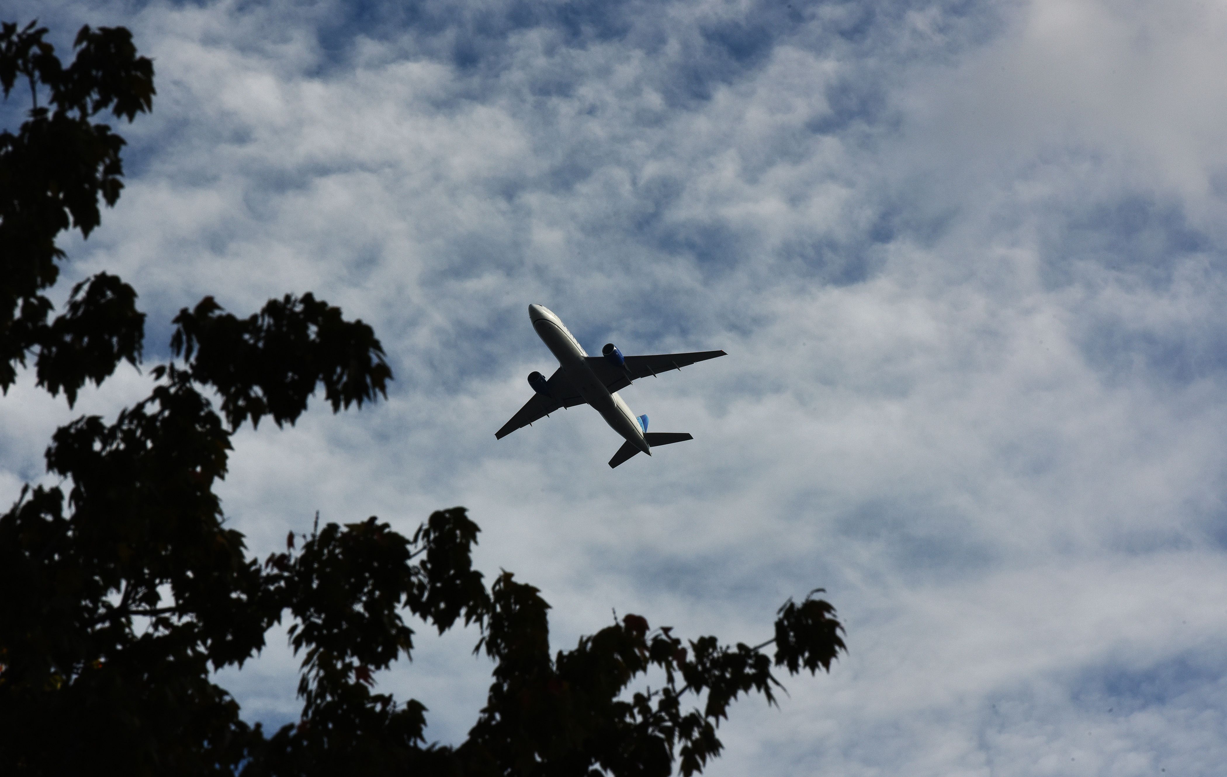 Air New Zealand Claims Top Safety Honors for 2026