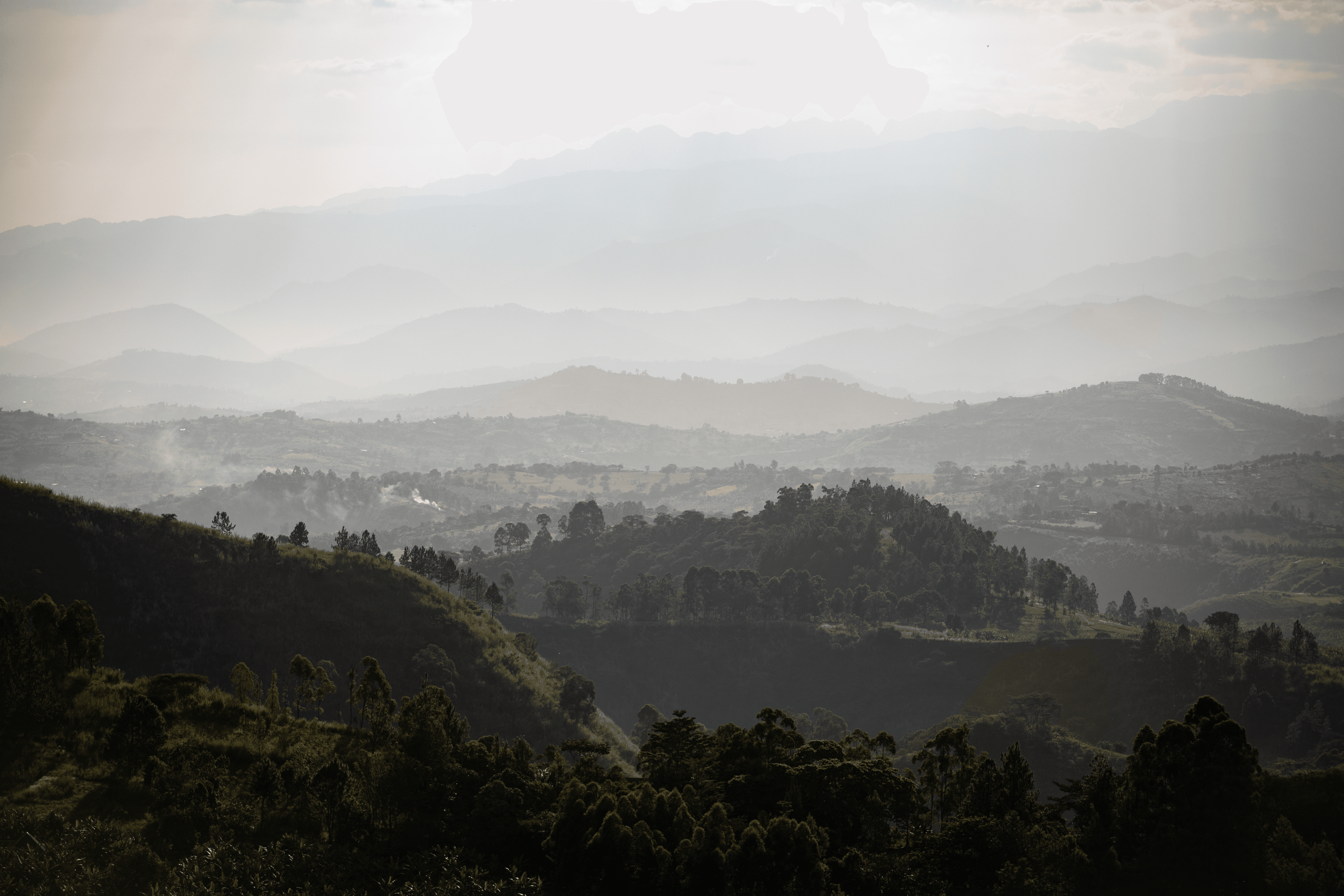 Uganda’s Real Treasure: More Than Just Gorillas